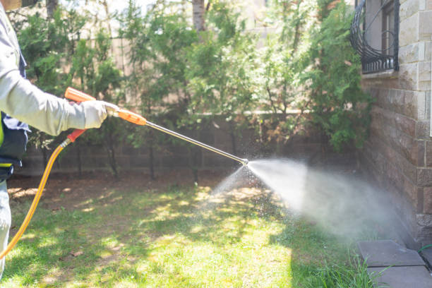 Best Mosquito Control  in Bensville, MD